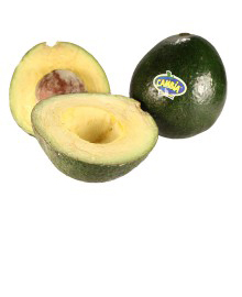 Aguacate Reed