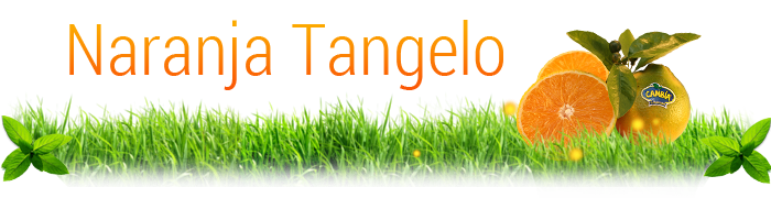 Tangelo Mineola