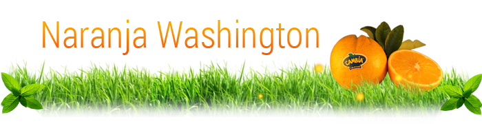 Naranja Washington