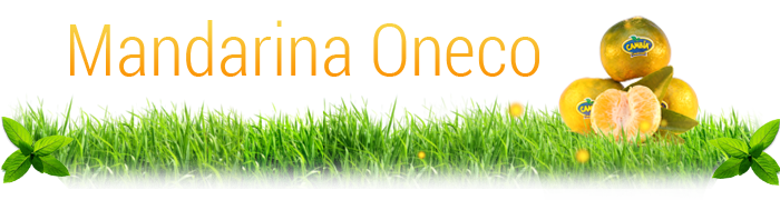 Mandarina Oneco